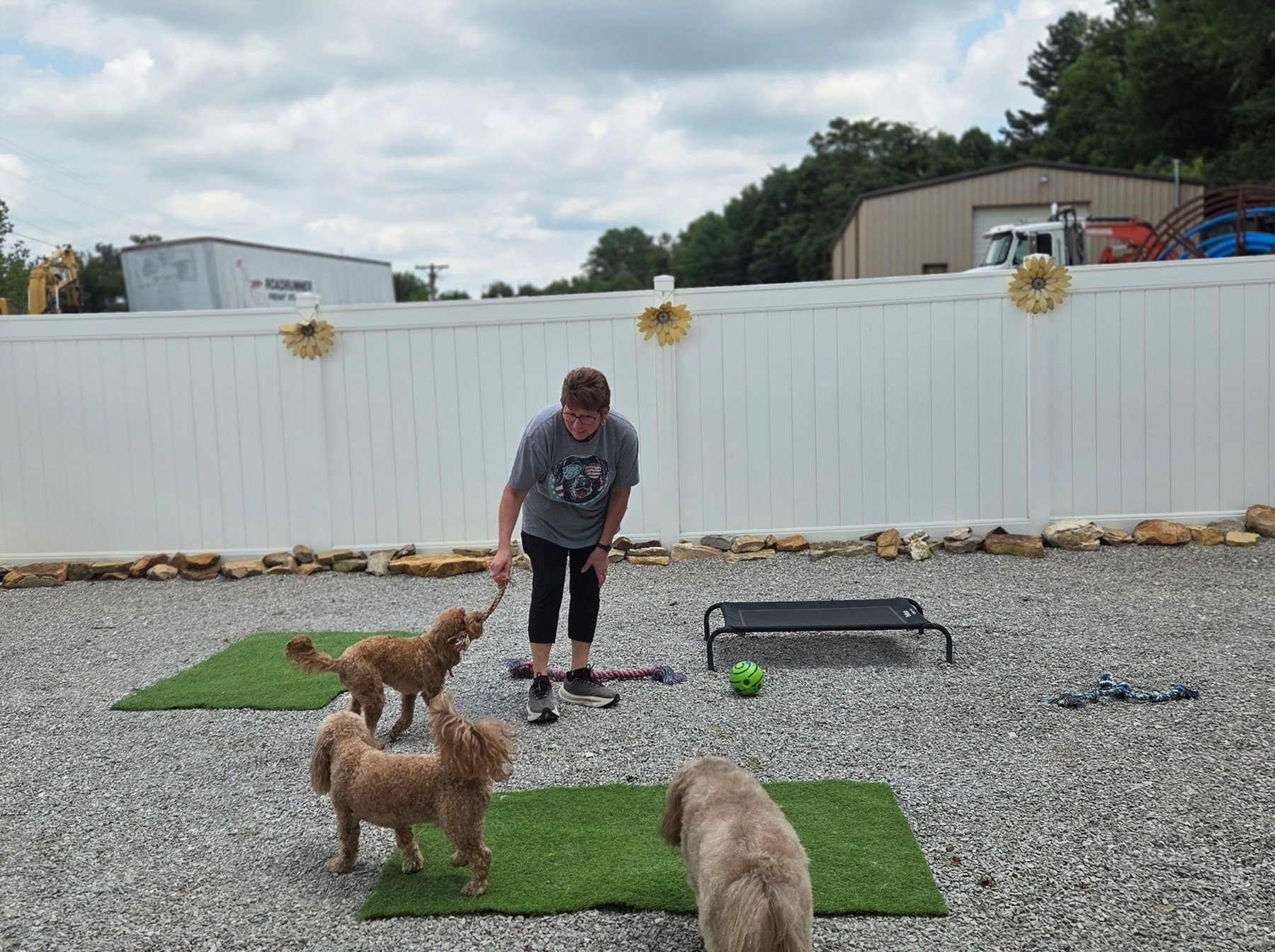 Dogs enjoying the fenced outdoor boarding yard at Southern Paws Spa